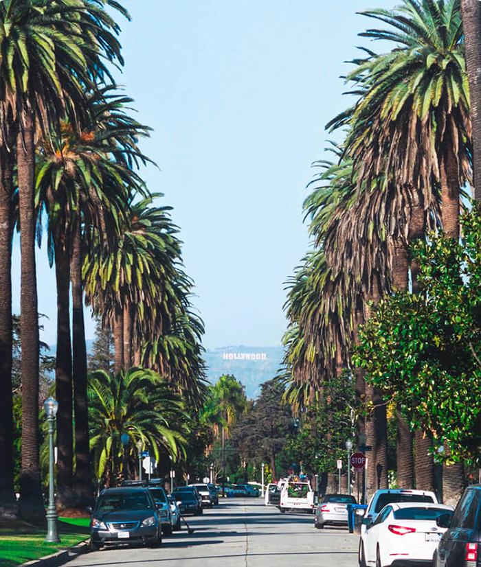 شیراز